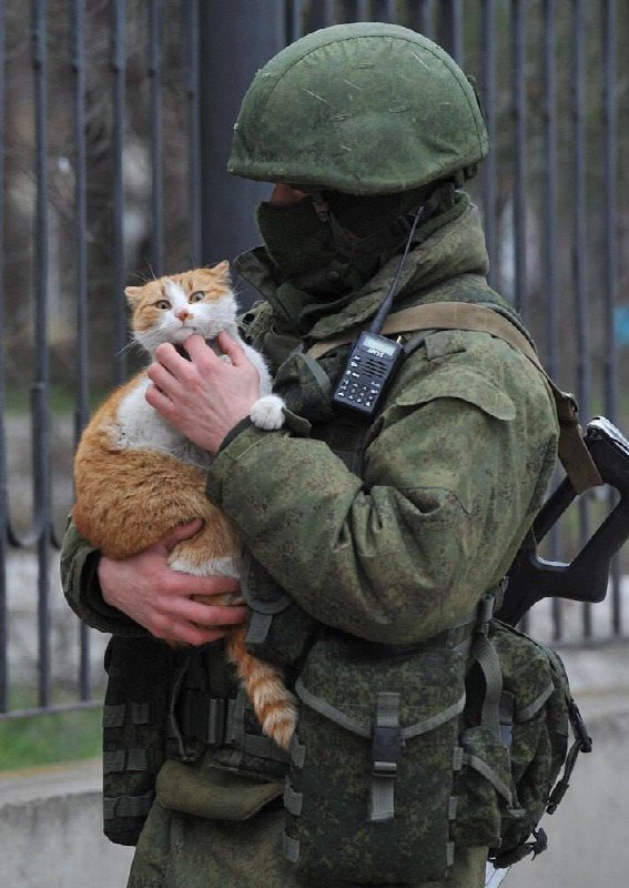 Изображение публикации 39b82b4c-1a3c-4636-ad6b-826cfc87ad38