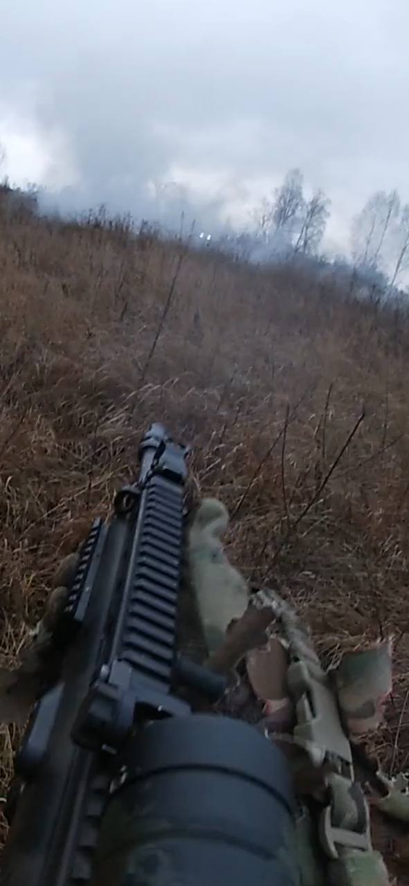 Изображение публикации 3cbc7312-04ef-4ed8-bc9f-2213cfafa590