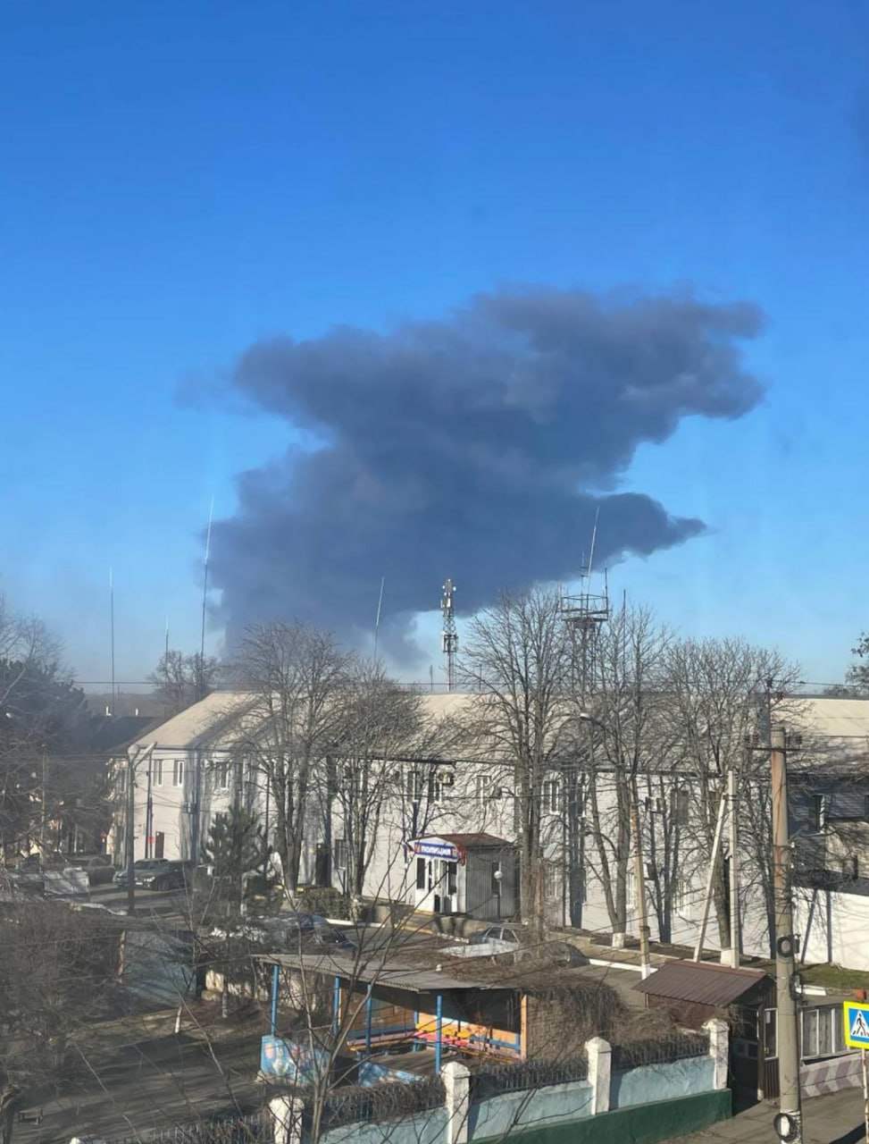 Изображение публикации 3ce10dc1-4b04-4ee4-bc36-c1f9f7713269