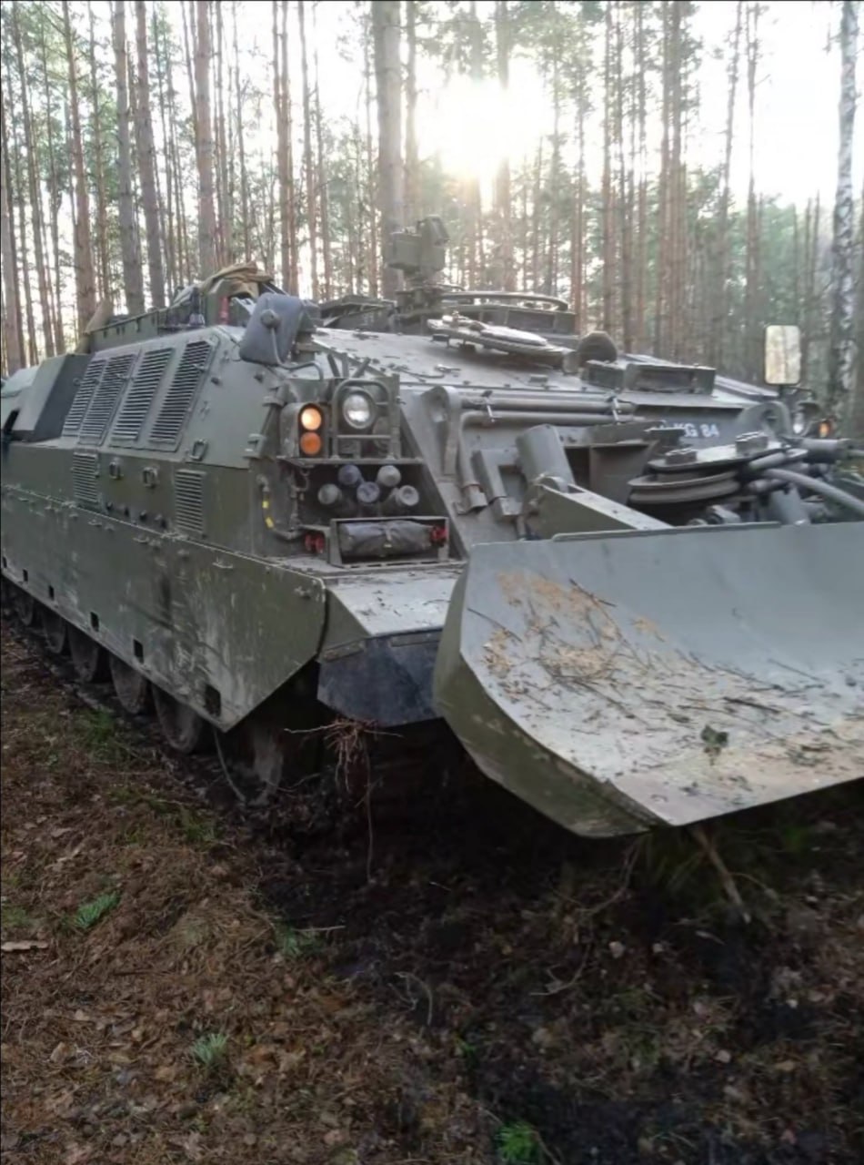 Изображение публикации 3cecde61-1e65-4866-9dc6-b87916ddd457