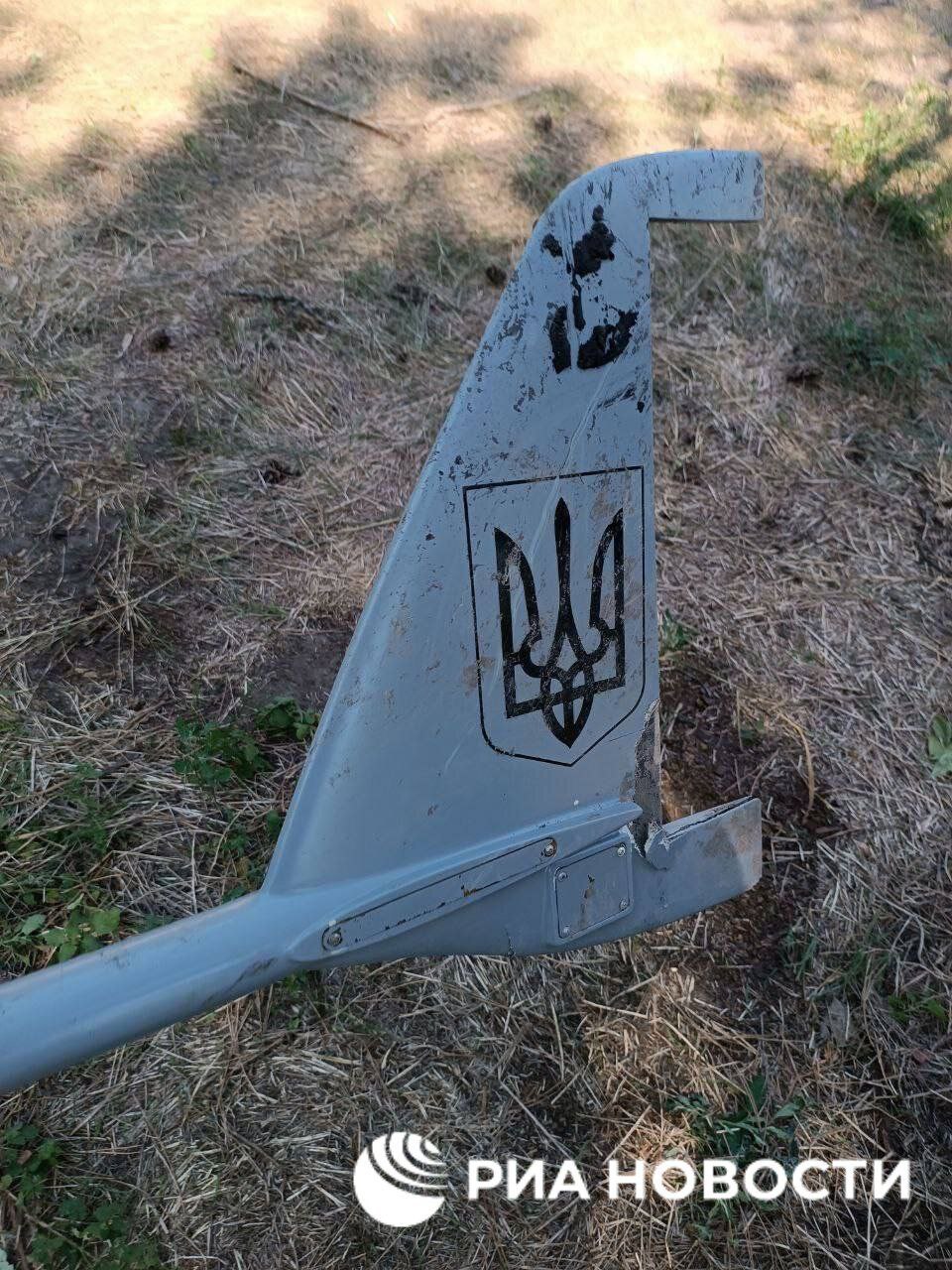 Изображение публикации 3d947a71-76f0-4175-af19-9074c055d5dc