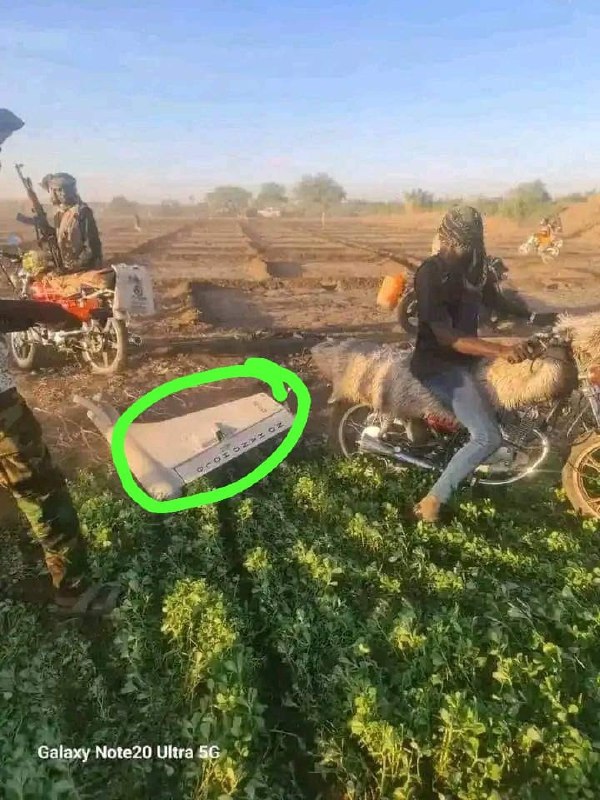 Изображение публикации 3dbb6b1f-87e1-445c-b13f-52bc6e0316ce