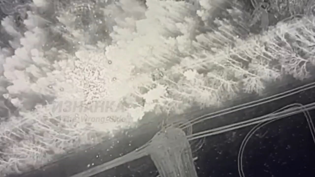 Изображение публикации 3dfc183b-2a99-42bf-8b83-d2004a005dbf