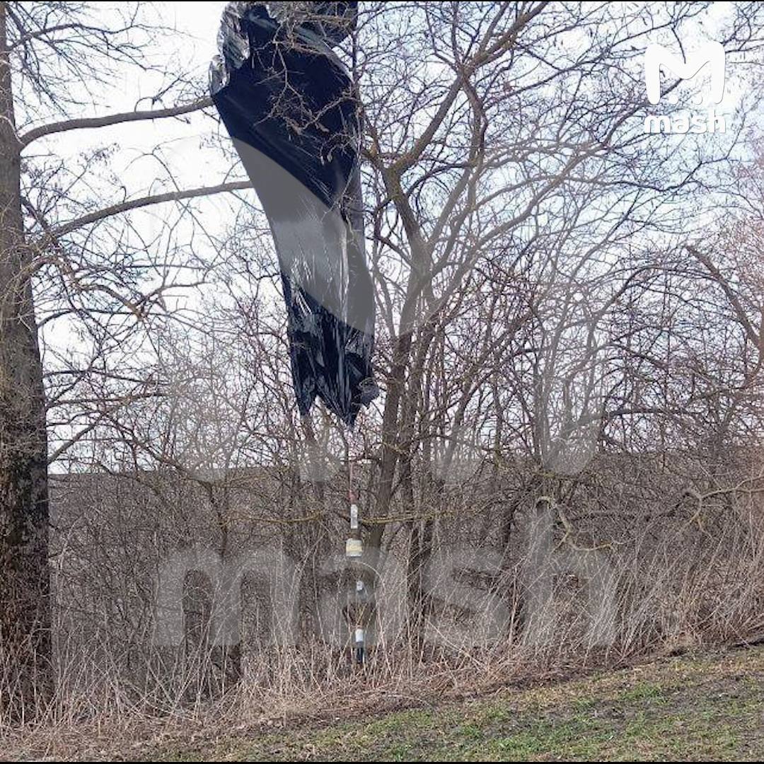 Изображение публикации 3e22f17c-a7d9-4781-88f5-f7c1075cba86