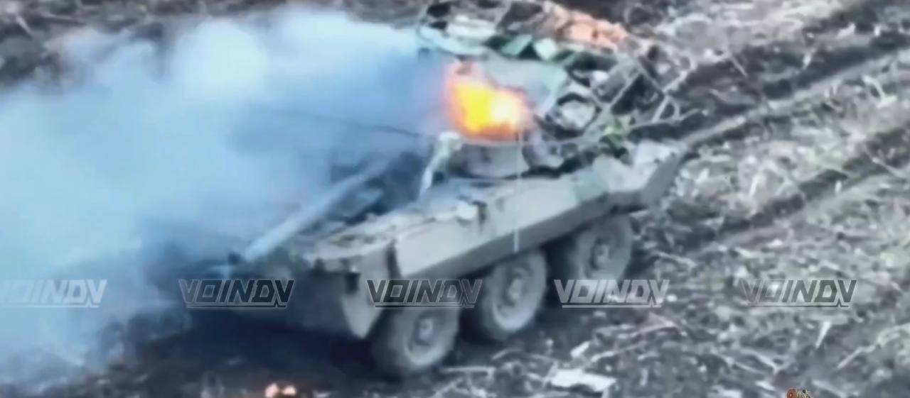 Изображение публикации 3e9ca21a-34bd-48cd-93c7-761d3d6705c3