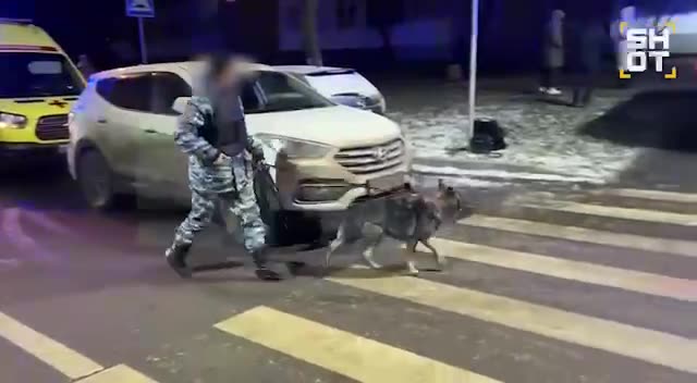 Превью видео