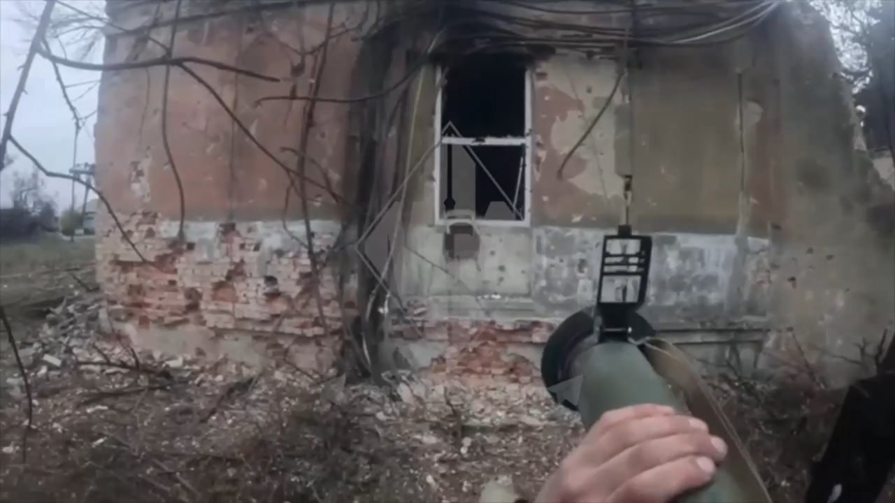 Изображение публикации 3eff91fc-94e7-484b-9384-d00e7e353025