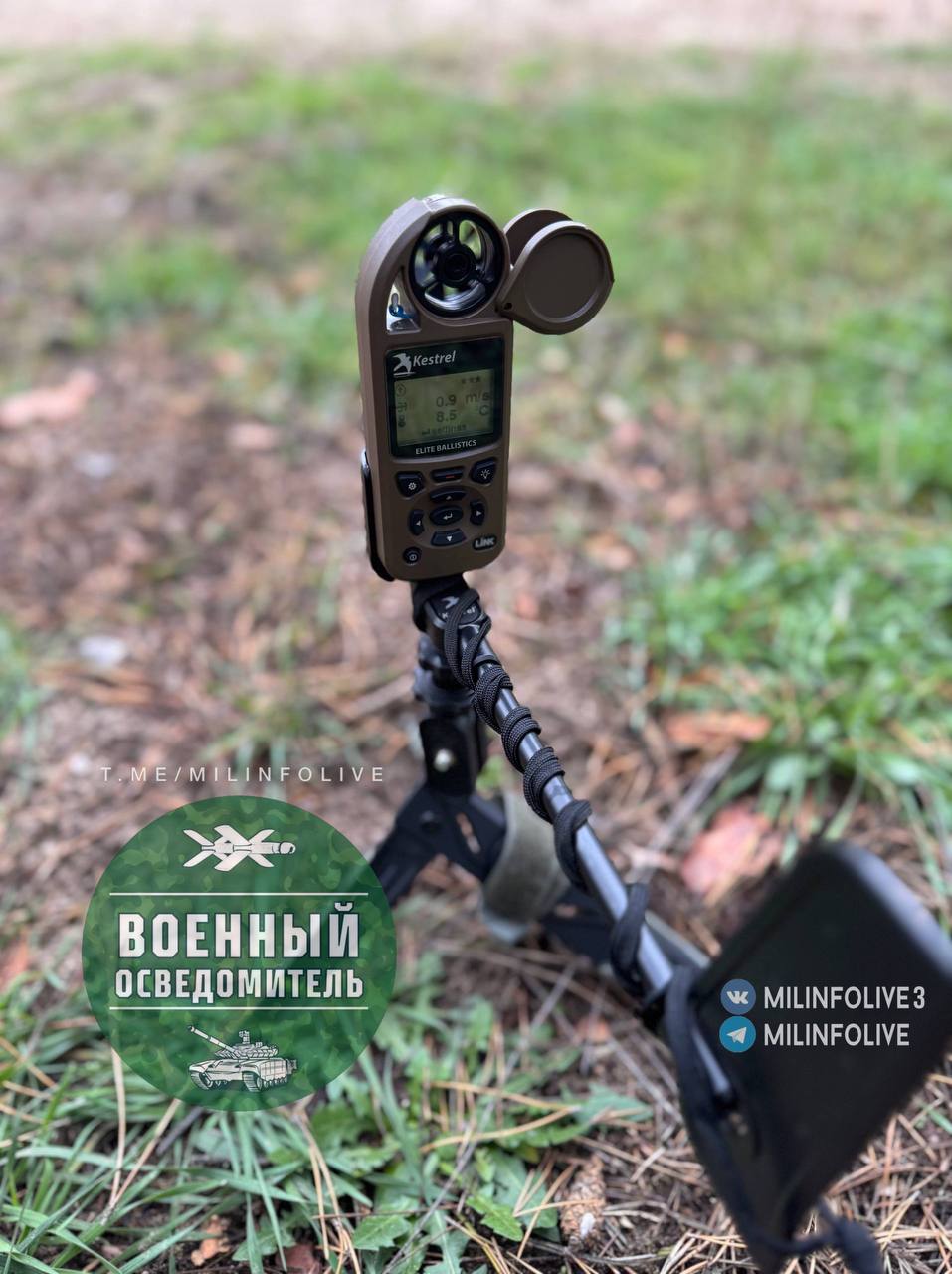 Изображение публикации 3f0fea40-f1c5-4c98-95f0-399eded20e74