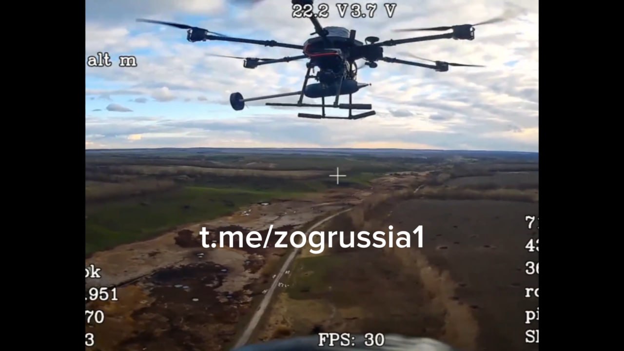 Изображение публикации 4075188b-6082-4075-a80f-227be93f295a