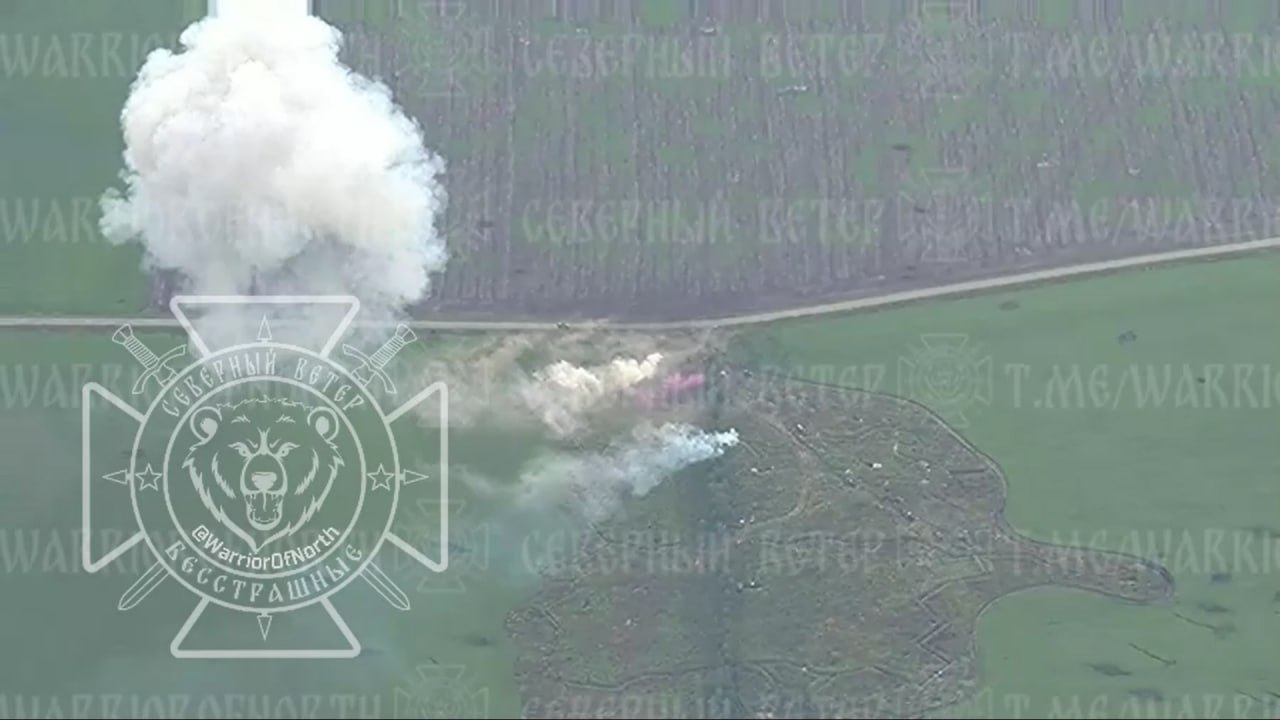 Изображение публикации 407ae828-efcd-4d26-85fb-7d8987222c05