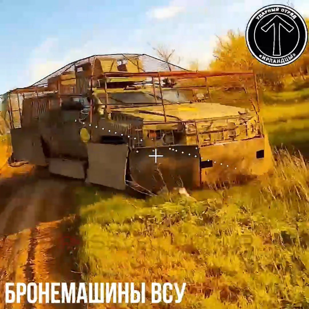 Изображение публикации 4178d1f0-d27c-4f1e-b847-317a8a652f82