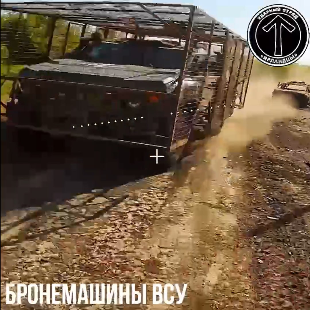 Изображение публикации 4178d1f0-d27c-4f1e-b847-317a8a652f82