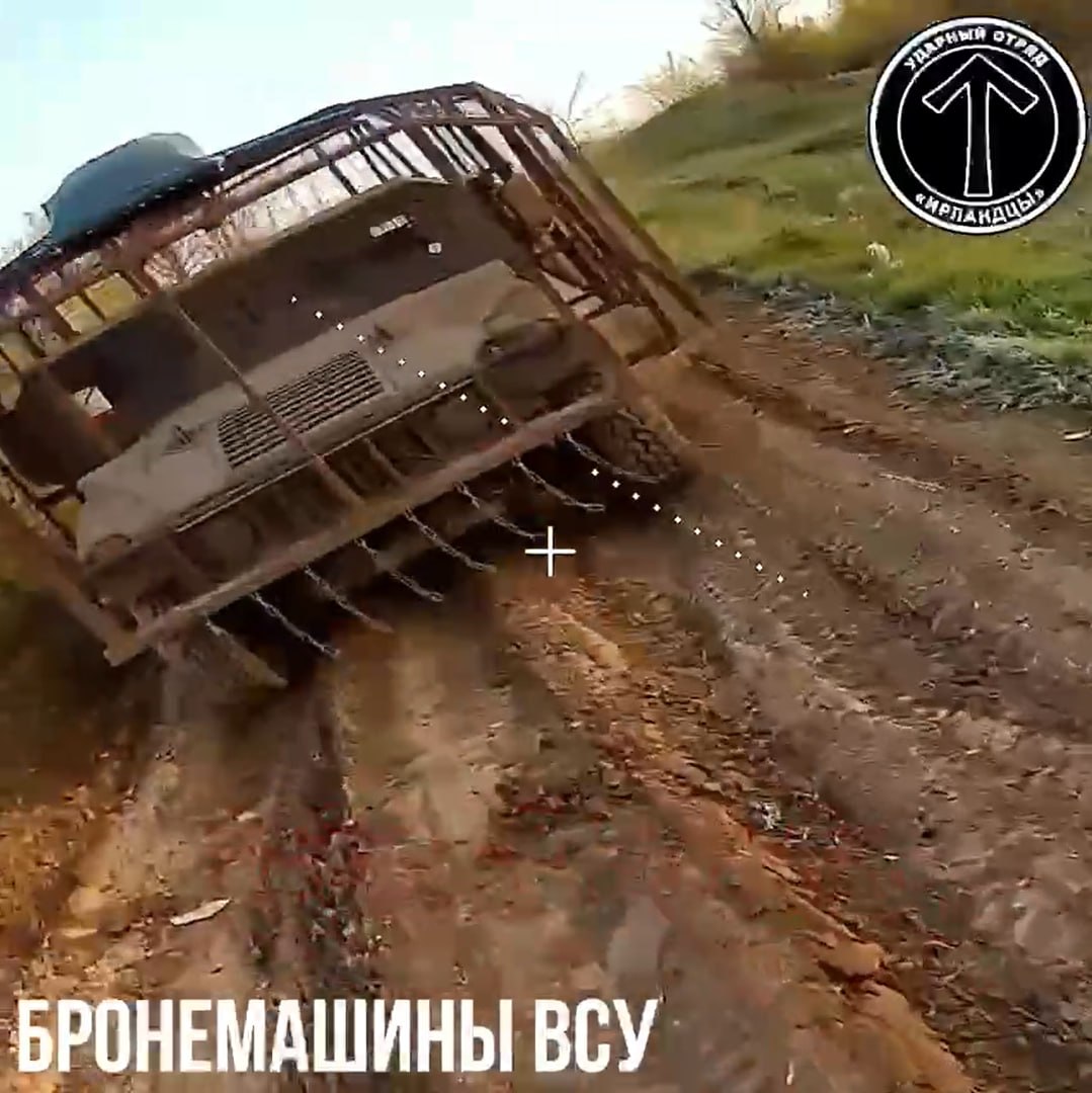 Изображение публикации 4178d1f0-d27c-4f1e-b847-317a8a652f82