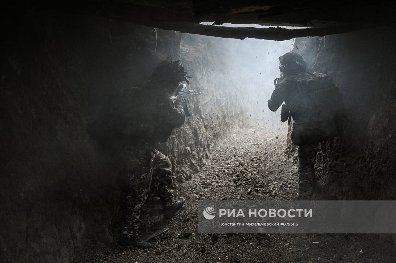 Изображение публикации 41dac537-2b7c-43a0-8c32-1652f5d43f6b