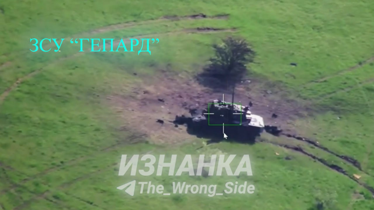 Изображение публикации 4280f32c-3d51-49b7-8e89-42539ed04dd3