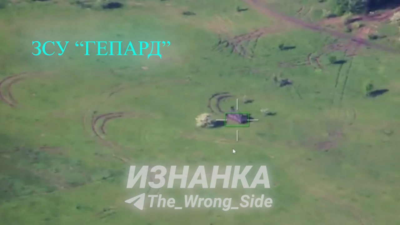Изображение публикации 4280f32c-3d51-49b7-8e89-42539ed04dd3
