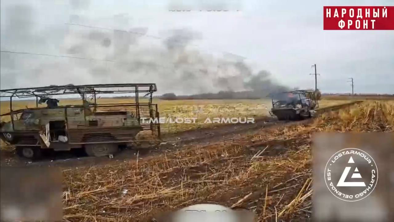 Изображение публикации 431778f0-976e-4988-b626-d78ff93592ba