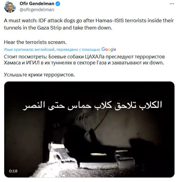 Изображение публикации 4372be31-f916-492f-b99e-b7cb53b36955
