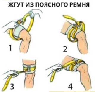 Изображение публикации 43fc8add-313a-444c-b7cd-7ce9463e46f2