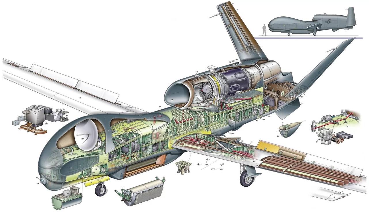 Изображение публикации 44d6f70f-1303-4628-bbbe-a7123d900df0