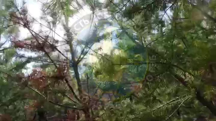 Превью видео