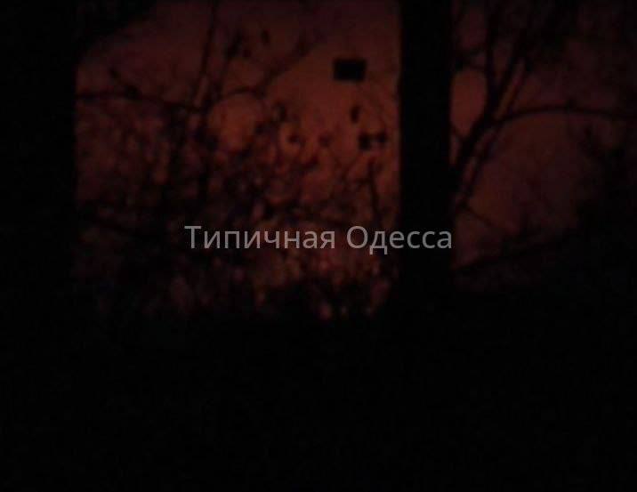 Изображение публикации 45742b23-0cf4-4583-b3d6-e88781204370
