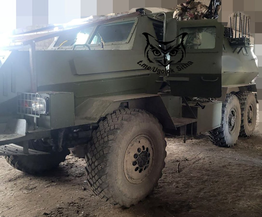 Изображение публикации 467efed1-0c2d-4db6-9f4c-6da411e222b9