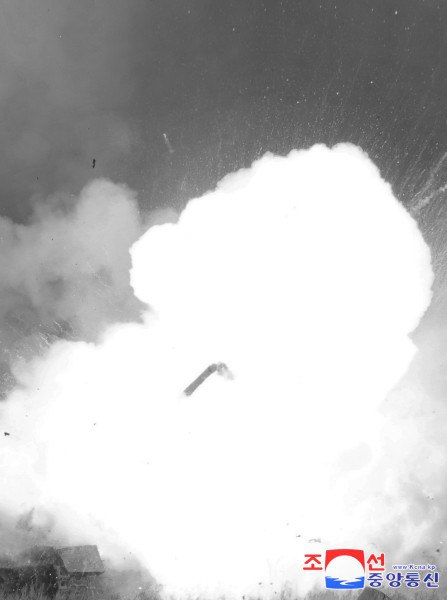 Изображение публикации 46f971c0-6f9e-461d-824f-3b6bb346ae44