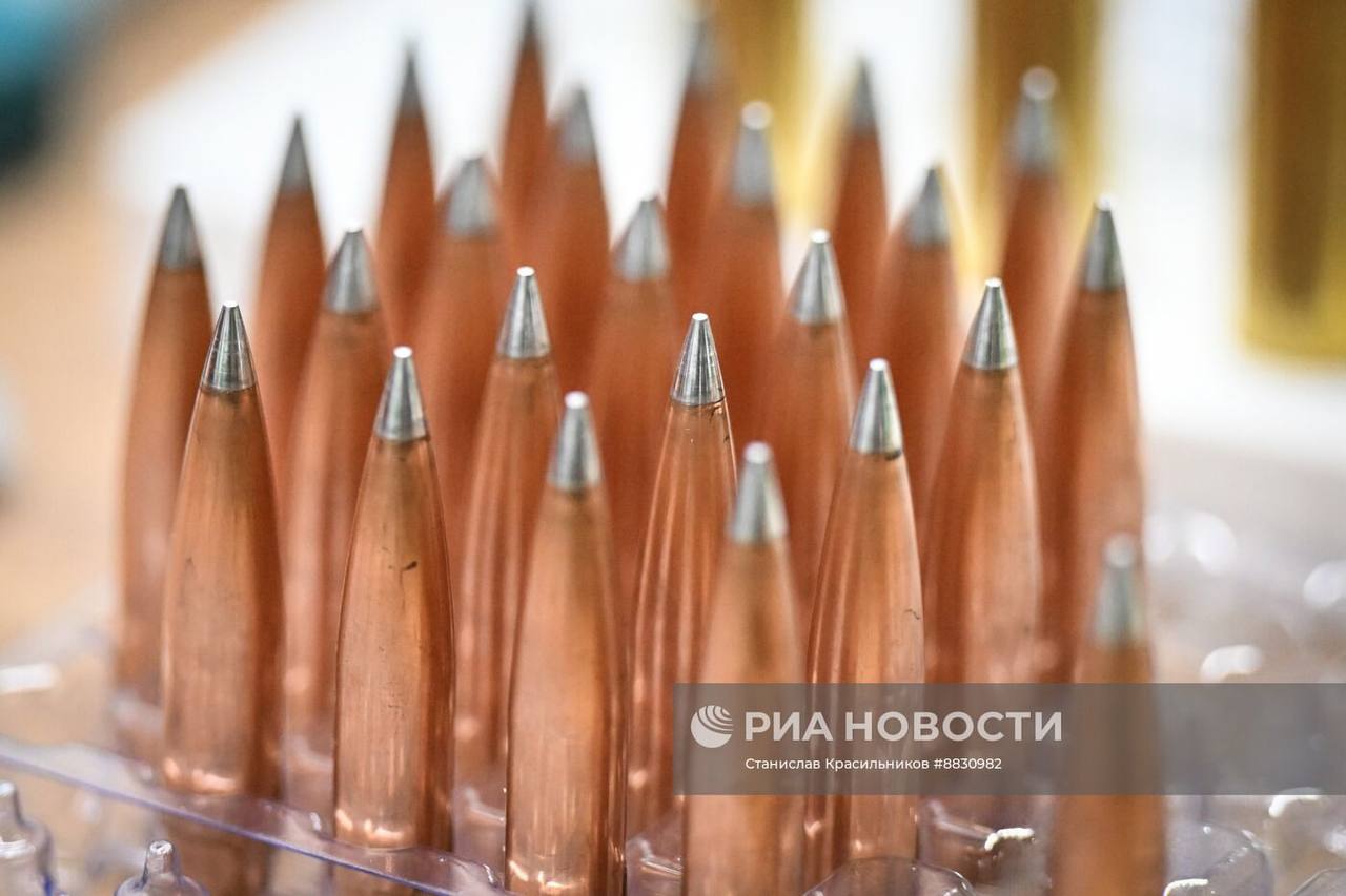 Изображение публикации 4744f3c2-0e30-45ed-8e16-d6d0c0f6dda5