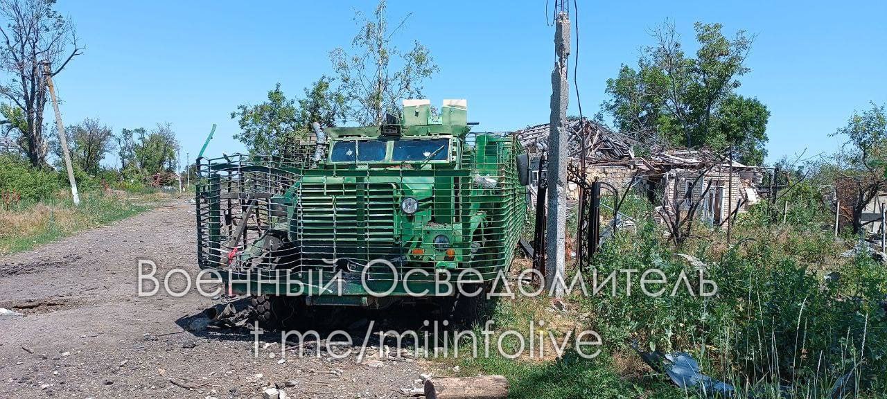 Изображение публикации 483adac8-131d-4a17-bc61-4fcef1648777