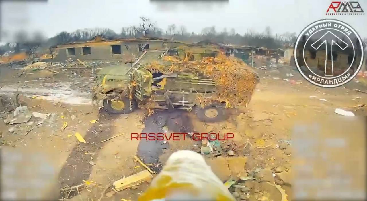 Изображение публикации 48cfe47a-a43c-4835-9b6d-644fb0147476