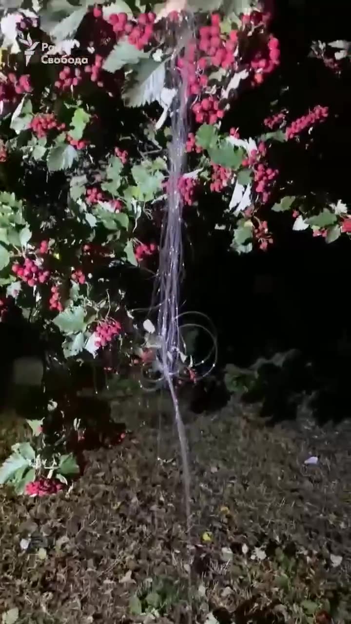 Превью видео