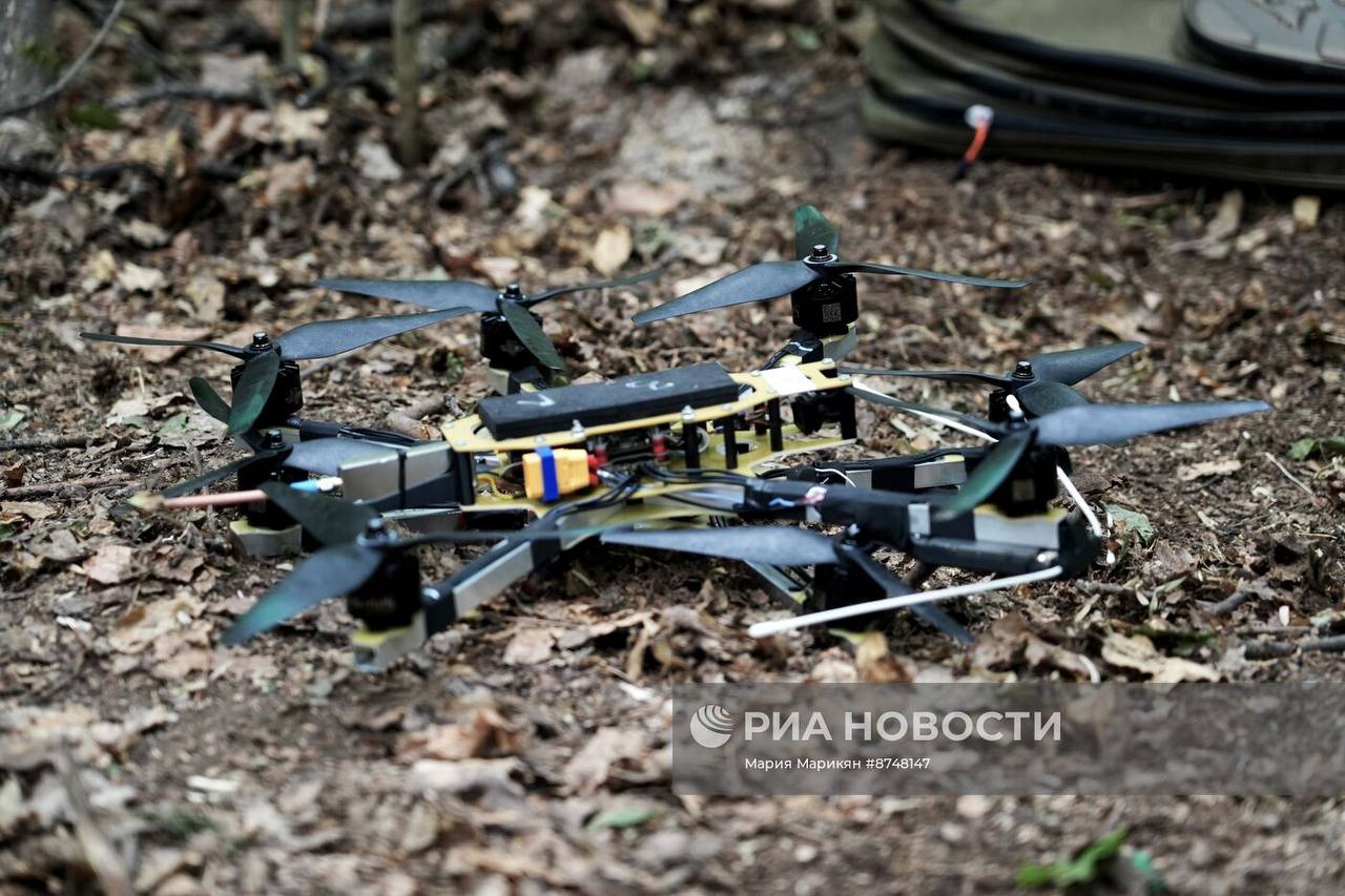 Изображение публикации 4a8e2d42-3895-412b-a2e0-afe398778311