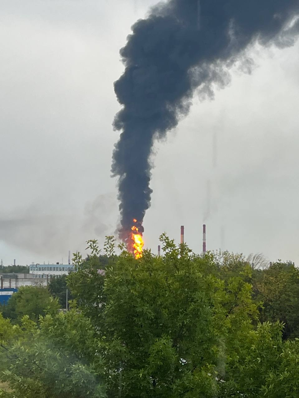 Изображение публикации 4ac3f7cd-4d20-4da2-b897-a99eb0f6b832