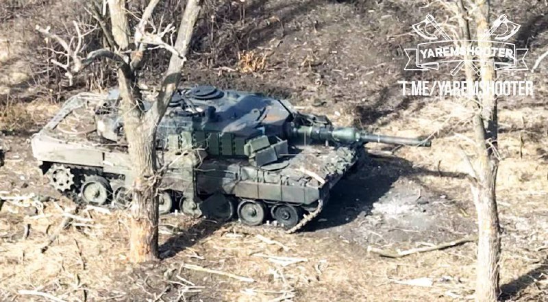 Изображение публикации 4b89a73e-8e51-464d-8438-f317270fa07f