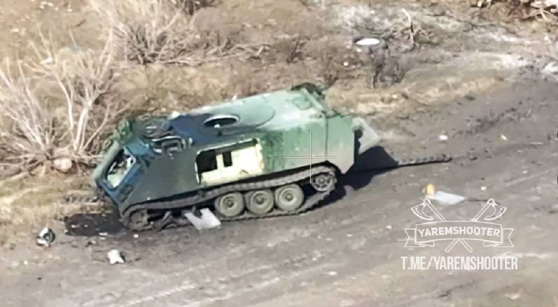 Изображение публикации 4b89a73e-8e51-464d-8438-f317270fa07f
