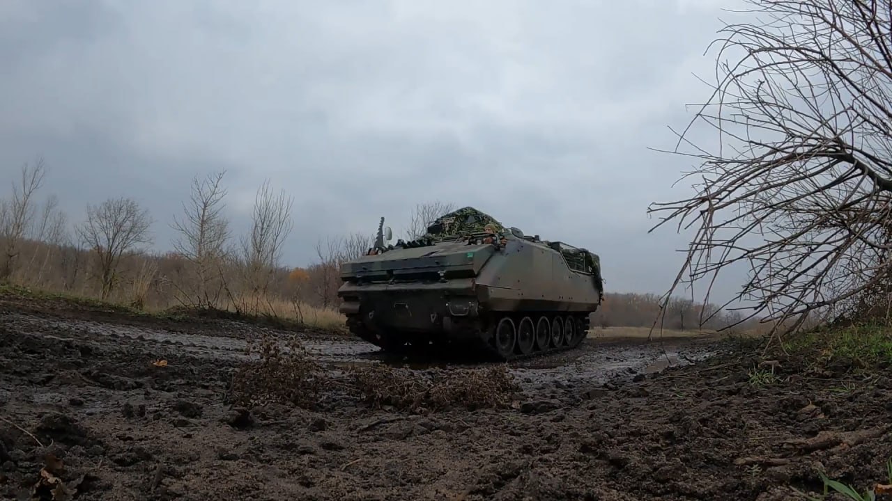 Изображение публикации 4b8f4b1c-4dfe-4ae0-87cf-e64627b69638