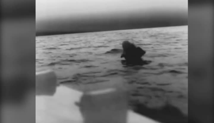 Превью видео