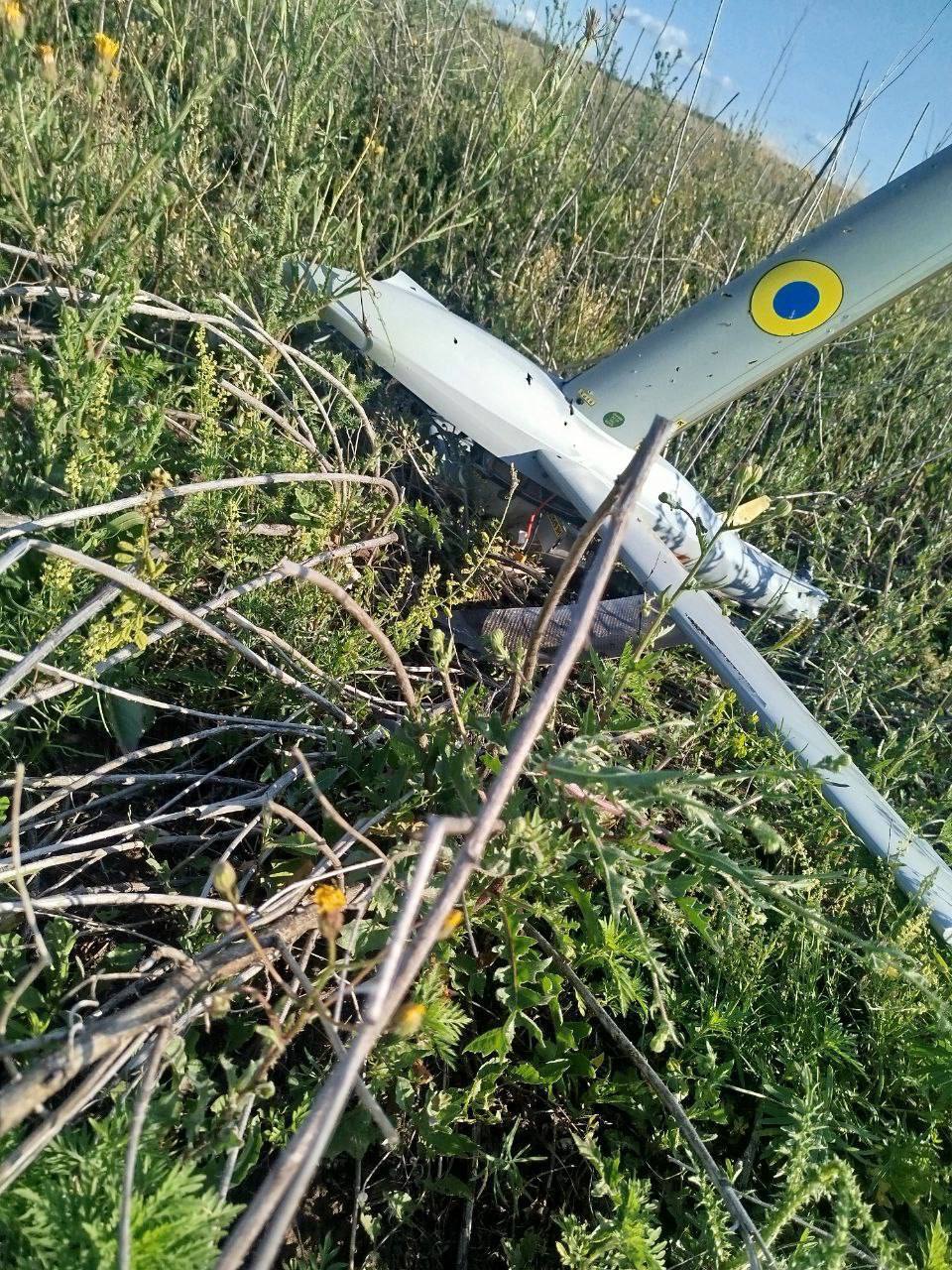 Изображение публикации 4d1e587f-9023-4673-92b6-0e5e8ba74f3c
