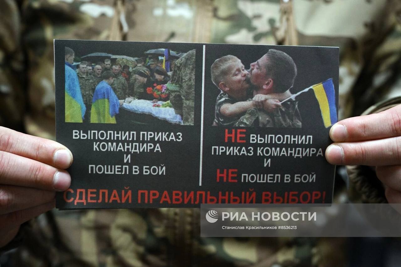 Изображение публикации 4ec80e79-99ae-4996-8376-94d9163c1411
