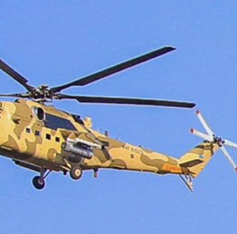 Изображение публикации 4f3a5665-4dd0-4b8a-8952-408513ae2dc9