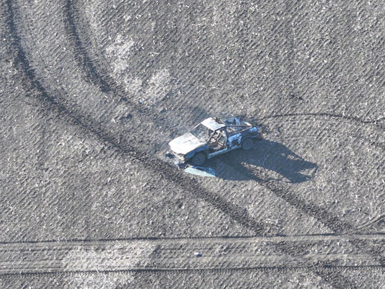 Изображение публикации 4f6b76b9-154b-4e50-b083-6873762a1946