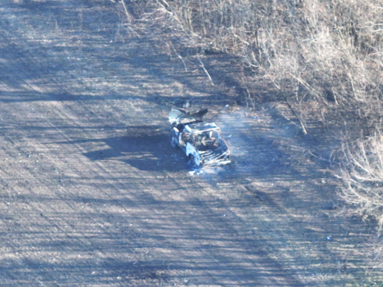 Изображение публикации 4f6b76b9-154b-4e50-b083-6873762a1946