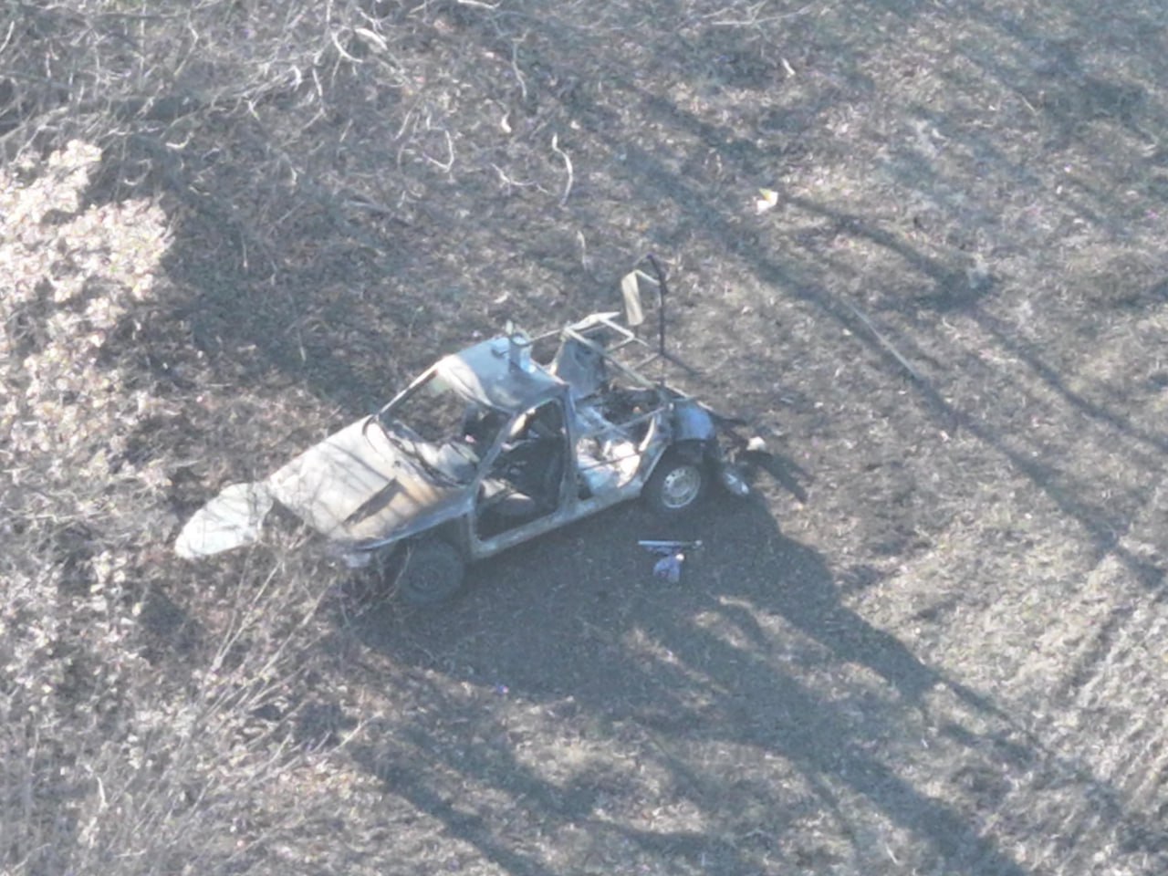 Изображение публикации 4f6b76b9-154b-4e50-b083-6873762a1946