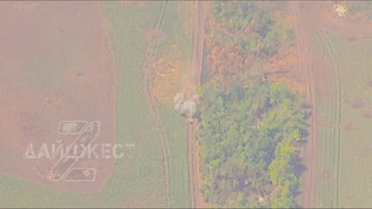 Изображение публикации 4f738d8c-bfb7-4334-949f-2e69b50da5f7