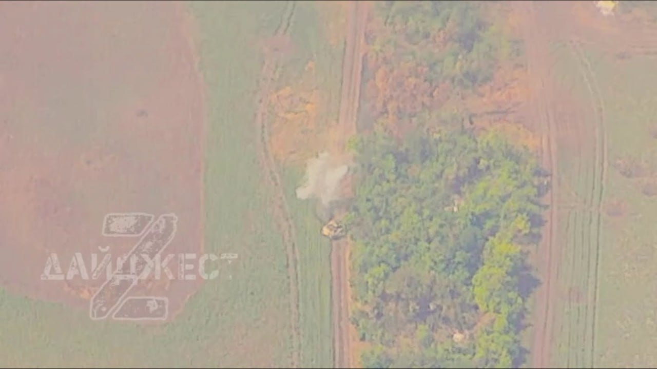 Изображение публикации 4f738d8c-bfb7-4334-949f-2e69b50da5f7