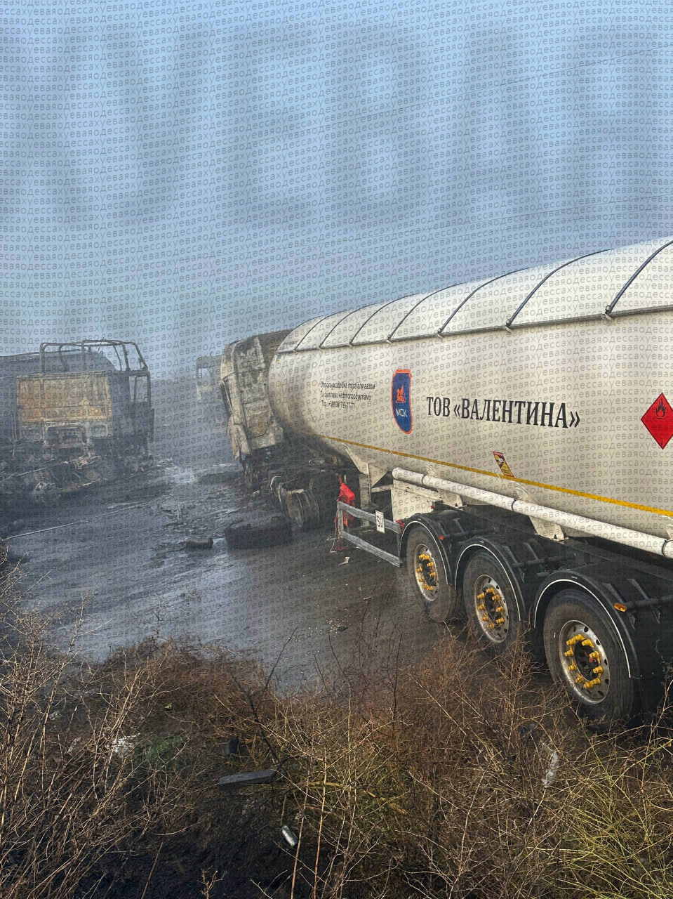 Изображение публикации 4f8aa627-0d46-4719-9040-dee873838aa9
