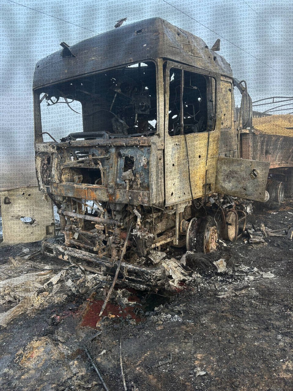 Изображение публикации 4f8aa627-0d46-4719-9040-dee873838aa9