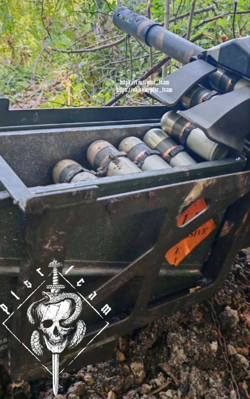 Изображение публикации 50333fba-4df5-4d25-bfa5-25ec920b251a