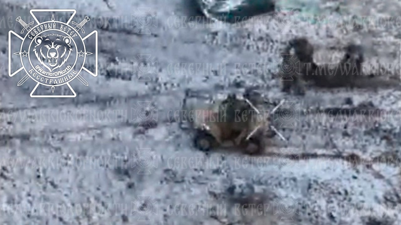 Изображение публикации 5279b3d6-88e3-4aef-8031-d144a2826f86